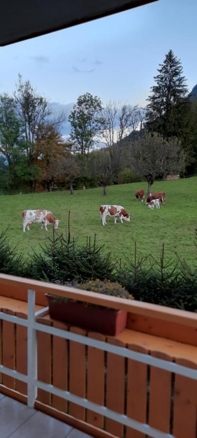 Apartma Rožle Mojstrana Exterior foto