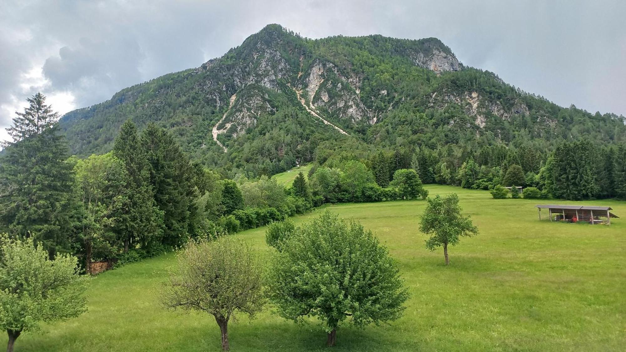 Apartma Rožle Mojstrana Cameră foto